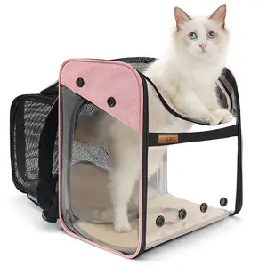 Pet backpack size introduction