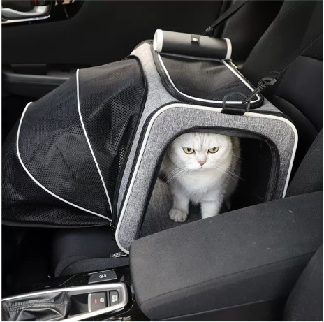 PET - Your Go-to China Manufacturer for Cat Bags